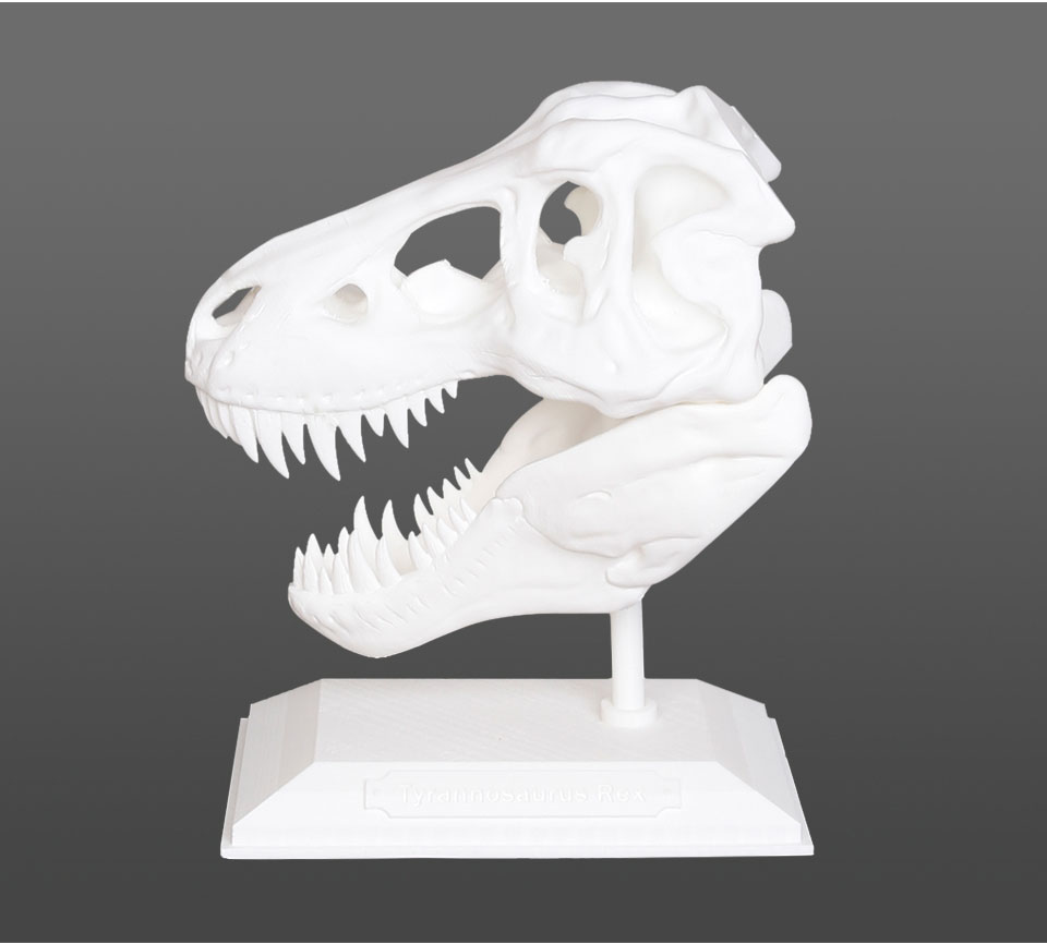 T-Rex 2+ sample prints